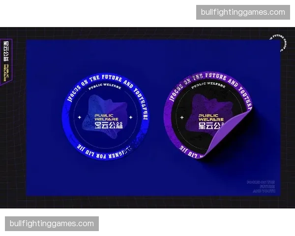 体育公益板块与票务抵扣机制相结合 提升品牌社会形象