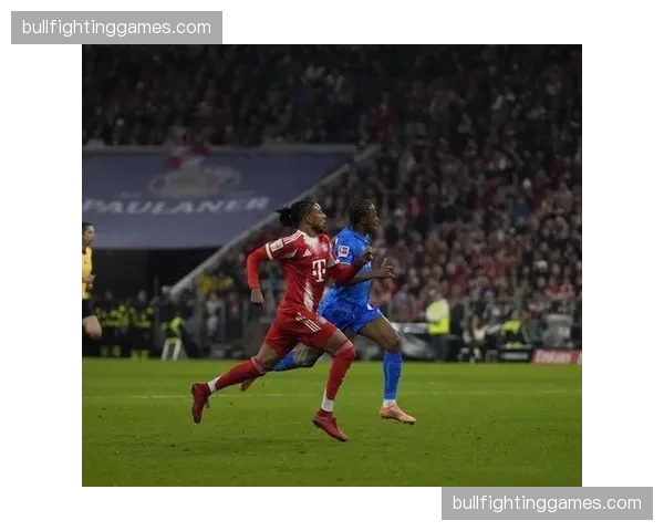 拜仁凯恩冲击生涯首座欧冠 英格兰前锋淘汰赛进球效率关键